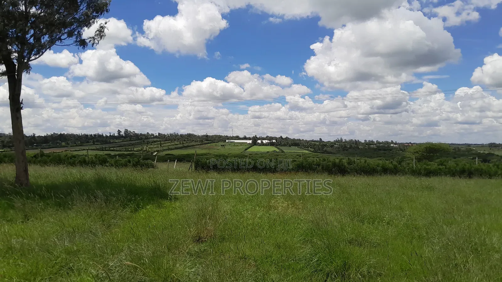 14 Acres Oloiren Kiserian