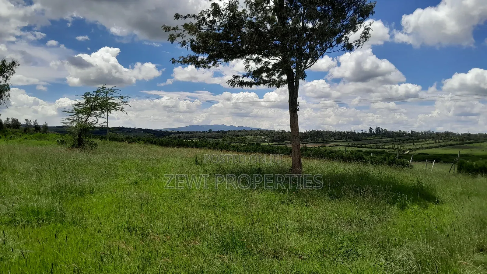14 Acres Oloiren Kiserian