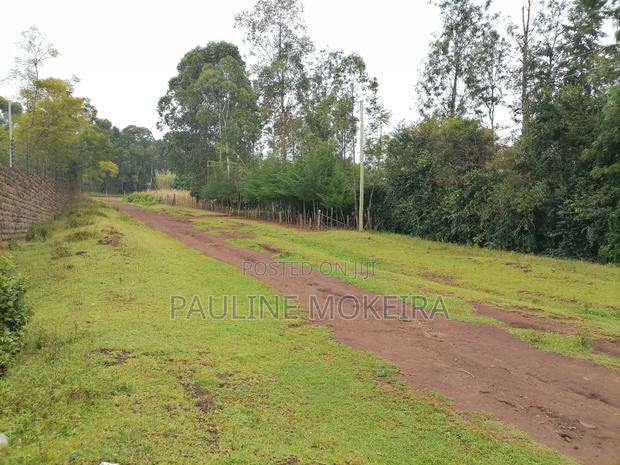 Half an Acre on Sale!! - thumbnail 2