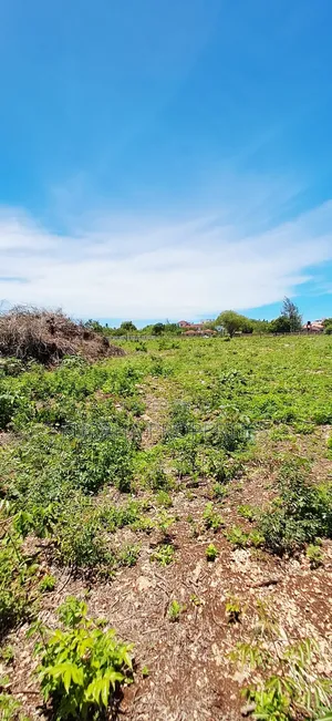 For Sale Quater Acres Plots Diani