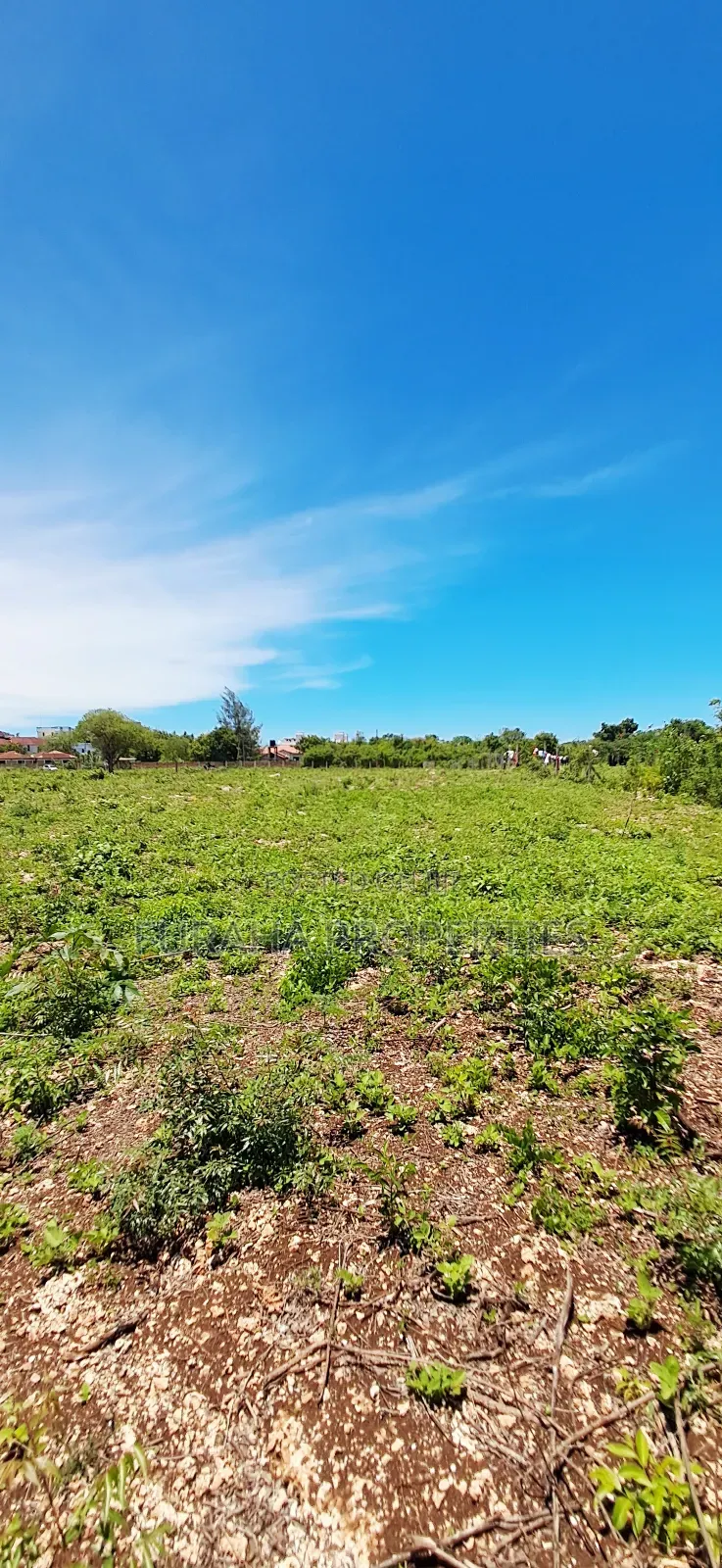 For Sale Quater Acres Plots Diani