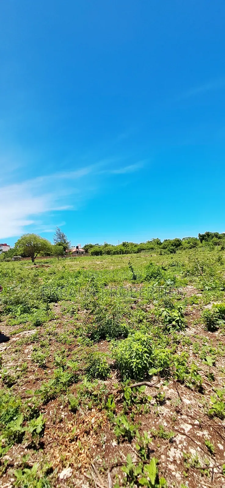 For Sale Quater Acres Plots Diani