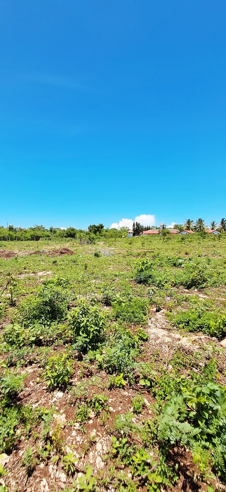 For Sale Quater Acres Plots Diani