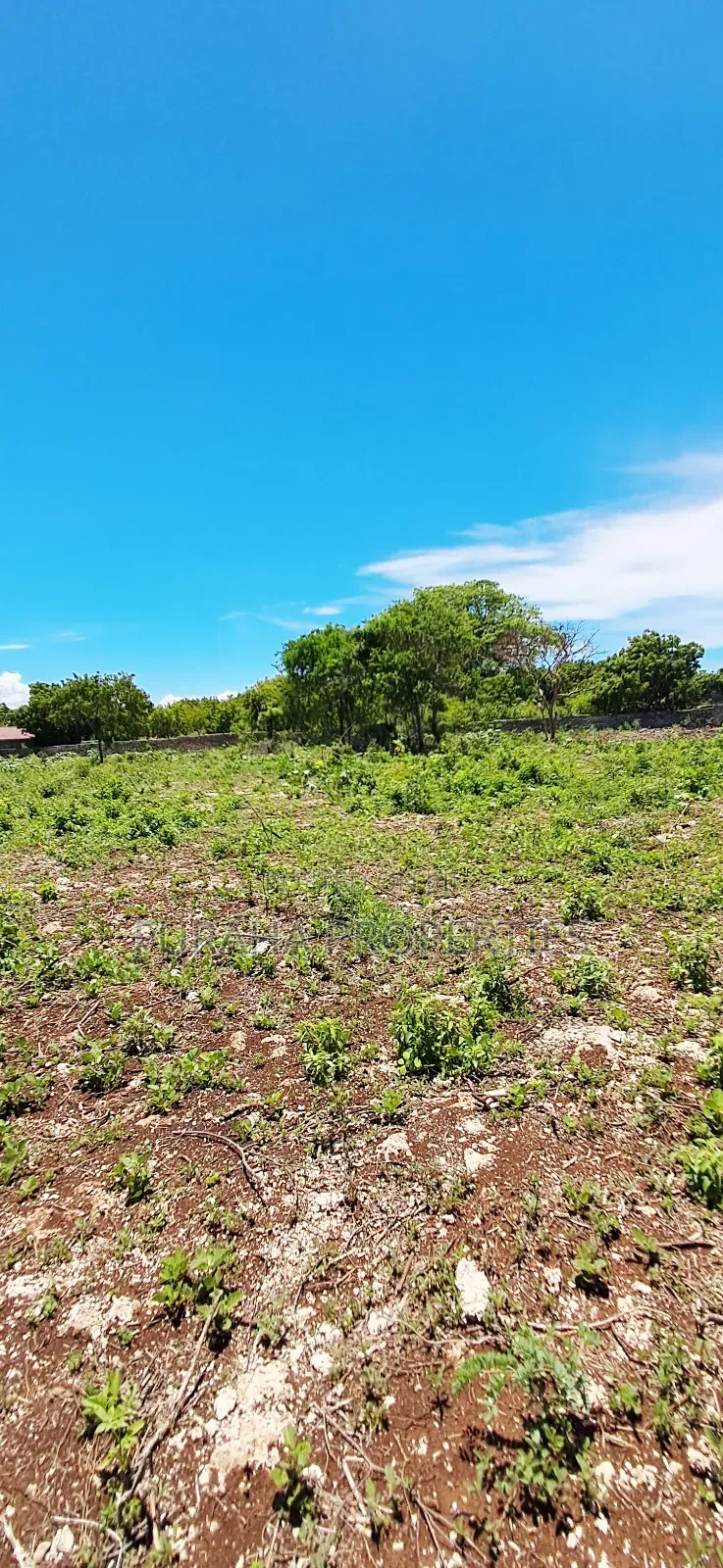 For Sale Quater Acres Plots Diani