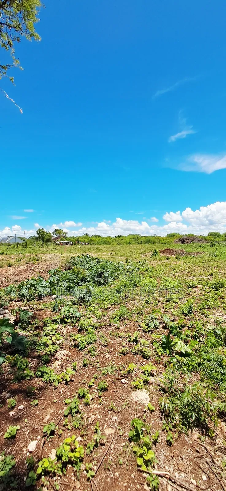 For Sale Quater Acres Plots Diani