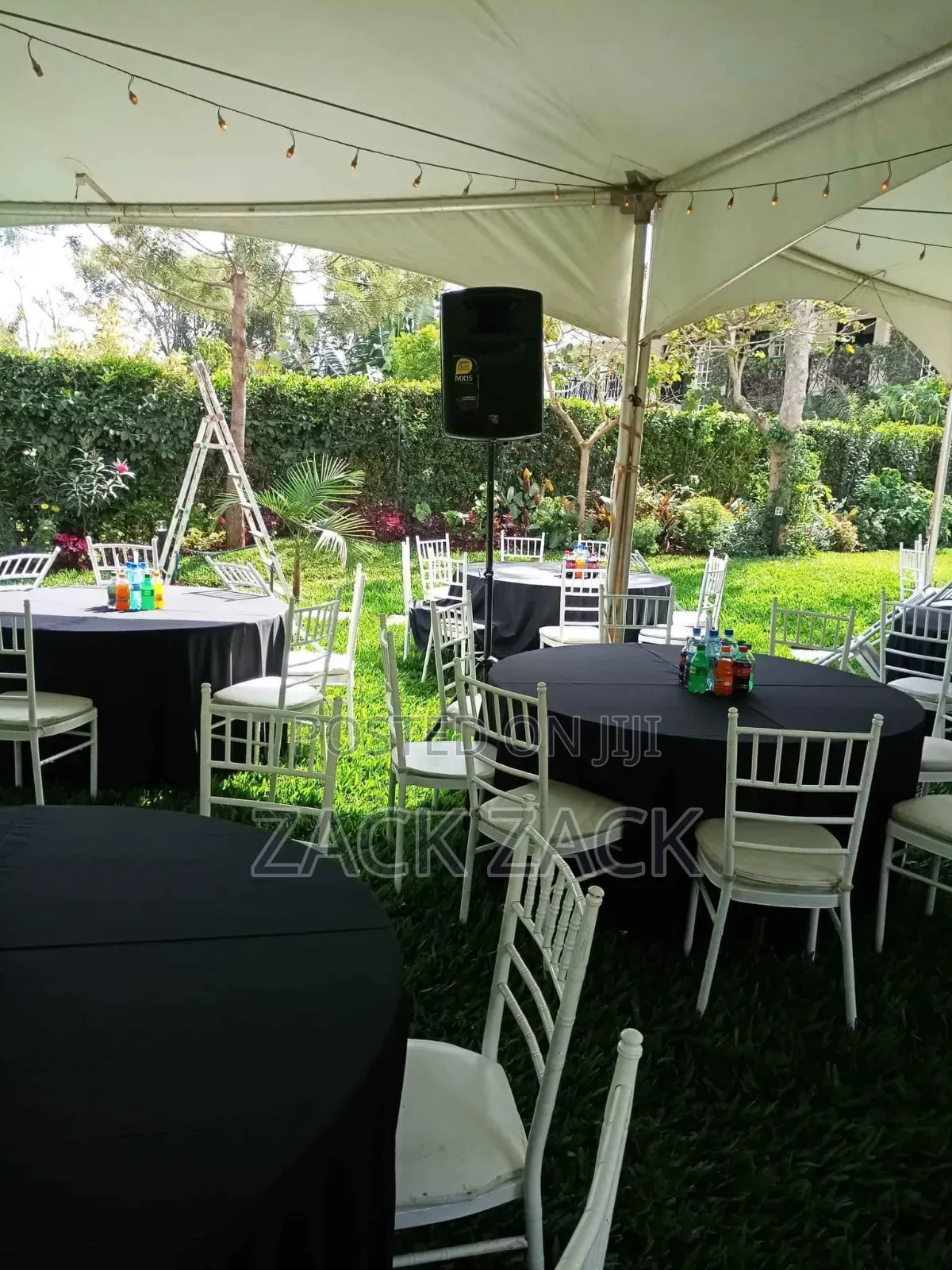 Professional Dj Services And P.A