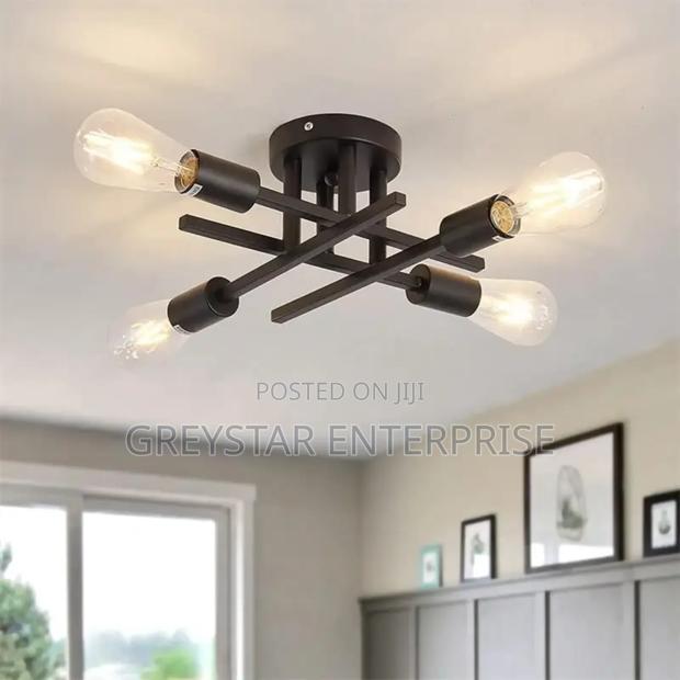 Minimalist Bedroom Ceiling Lights Living Room With Edison Bulbs