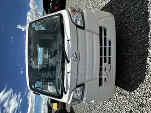 Mini Truck