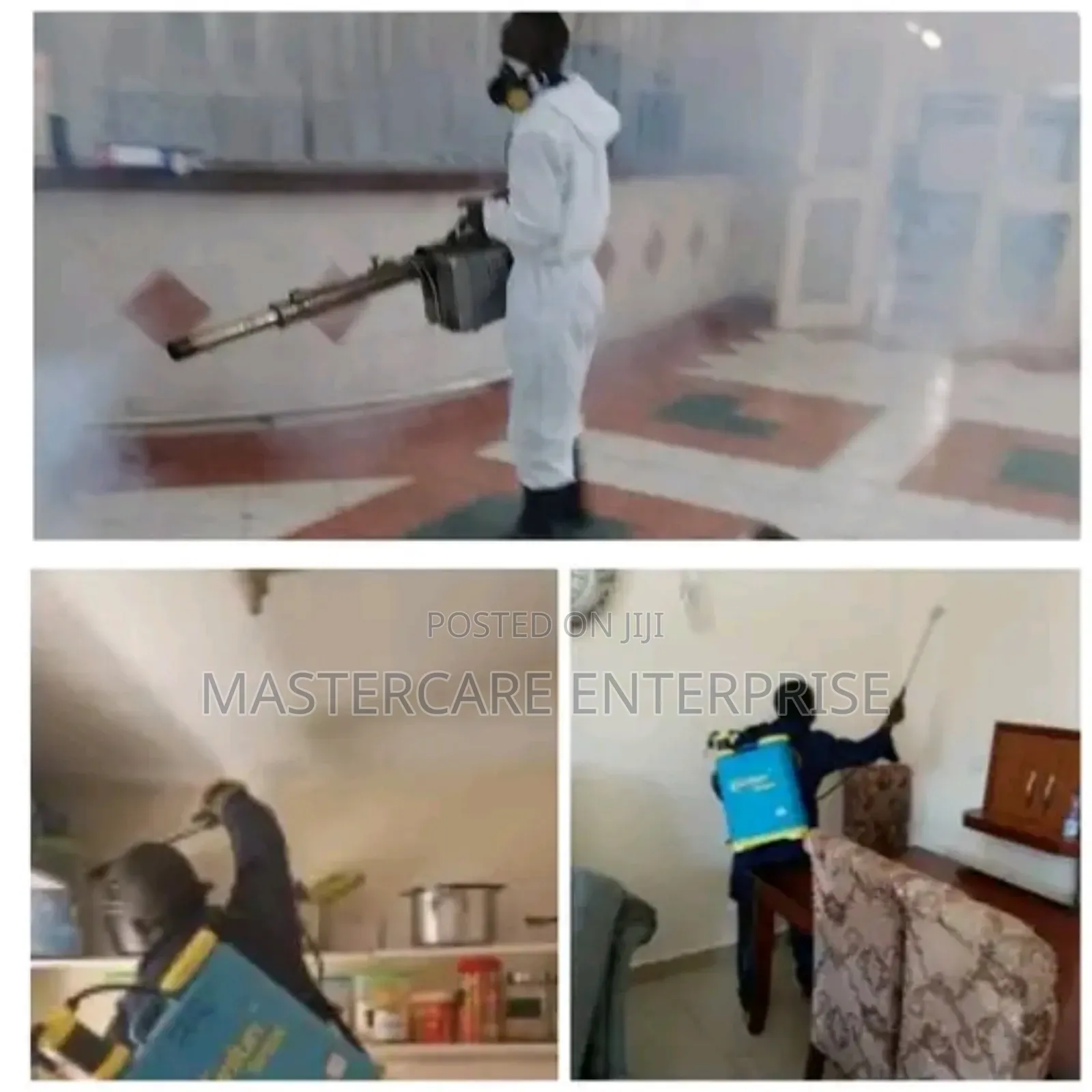 Professional Pest Control in Naivasha