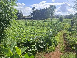 2 Acres for Sale in Limuru Mutarakwa - thumbnail 2