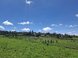 2.2Acres for Sale in Limuru Mutarakwa(0.5km From the Tarmac)
