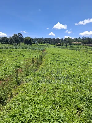 2.2Acres for Sale in Limuru Mutarakwa(0.5km From the Tarmac)