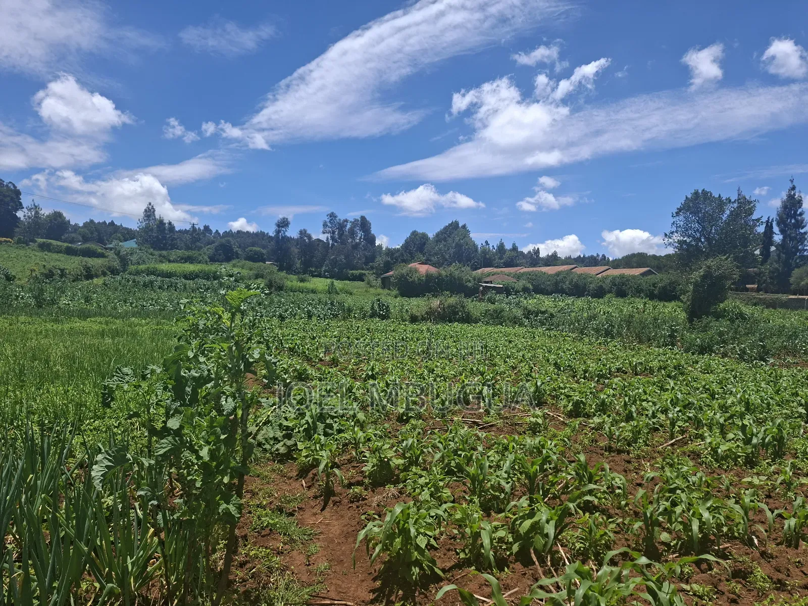 2.2Acres for Sale in Limuru Mutarakwa(0.5km From the Tarmac)