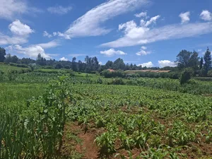 2.2Acres for Sale in Limuru Mutarakwa(0.5km From the Tarmac)
