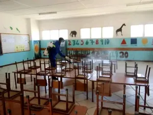 School Pest Control Services in Nairobi