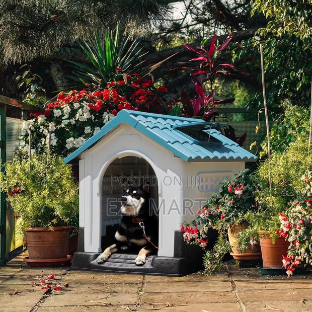 Dog Kennels - main view