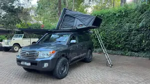 Toyota Land Cruiser 2008 Gray
