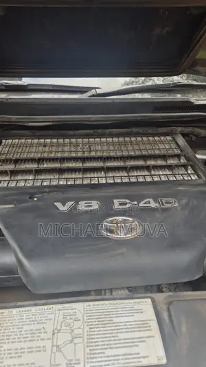 Toyota Land Cruiser 2008 Gray