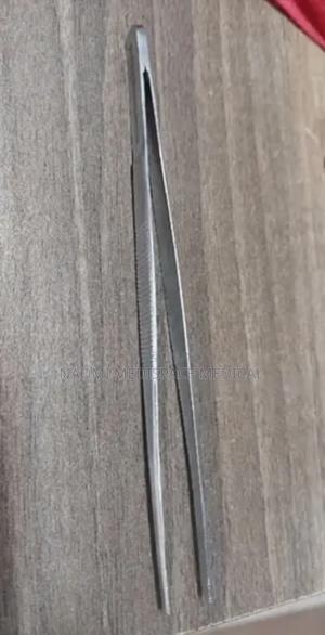 Non Toothed Forceps (Stainless Steel) - thumbnail 2