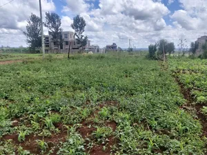 Affordable Plots 5 Km Off Kiambu Road.