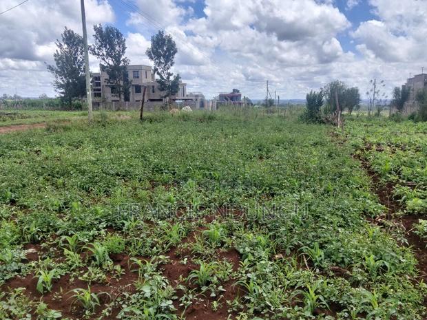 Affordable Plots 5 Km Off Kiambu Road. - thumbnail 3