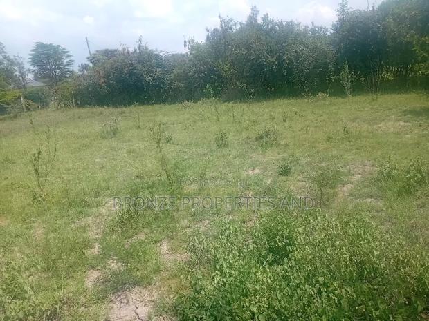 Land for Sell - thumbnail 3