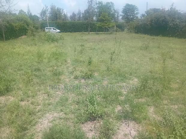 Land for Sell - thumbnail 4