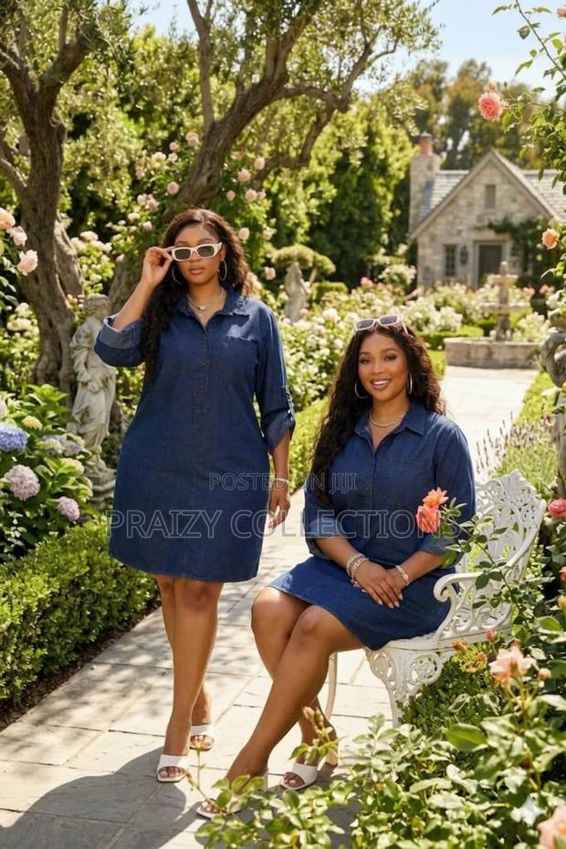 Denim Shirt Dress - thumbnail 3