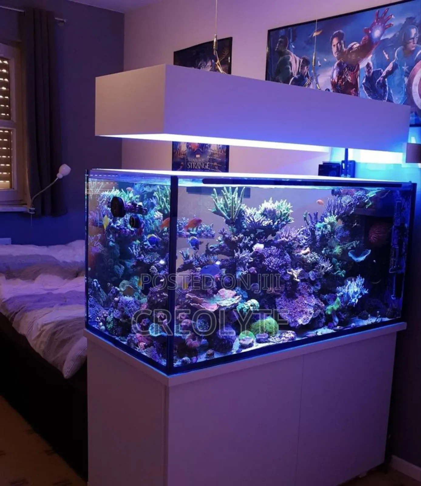 Aquarium Fish Tank Complete