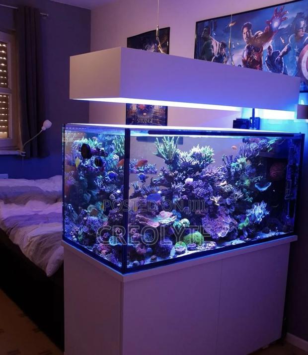 Aquarium Fish Tank Complete