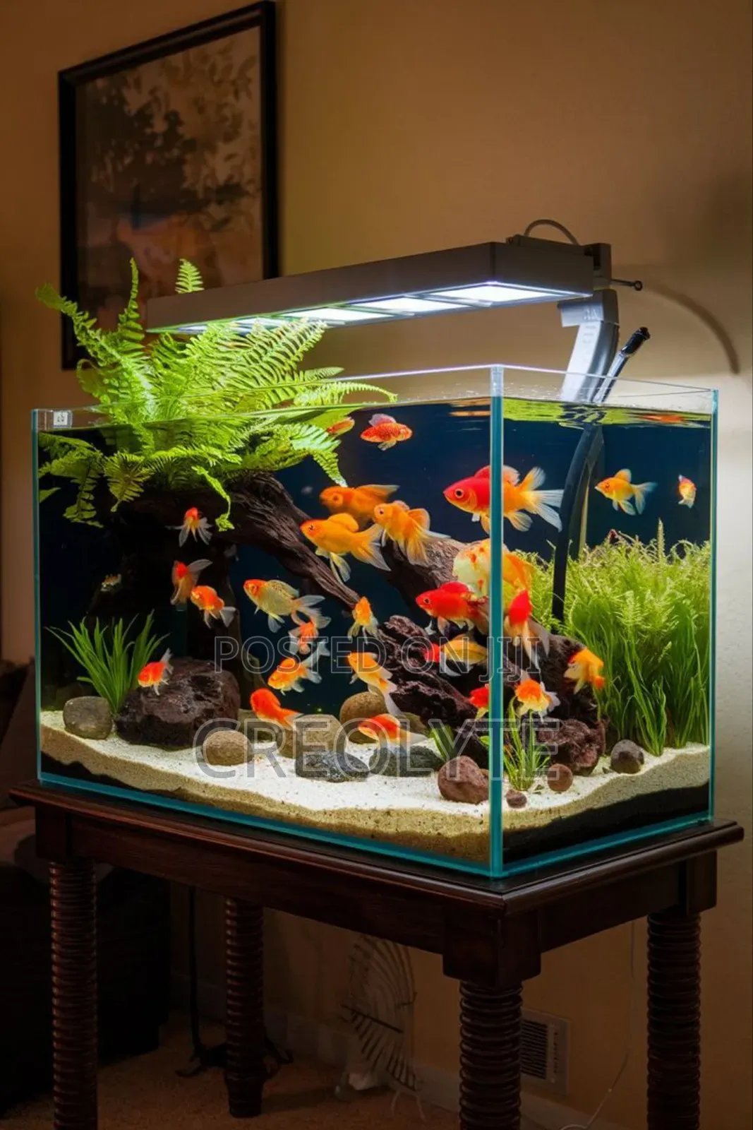Modern Aquarium Fish Tank