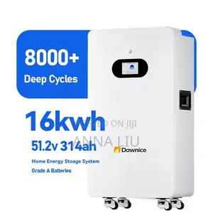 16kwh Dawnice Lifepo4 51.2v 314ah Solar Energy Storage