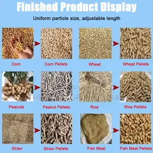 Factory Direct Feed Pellet Machine Best Quality for Africa