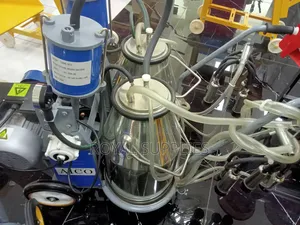 Italian Double Barrel Milking Machine
