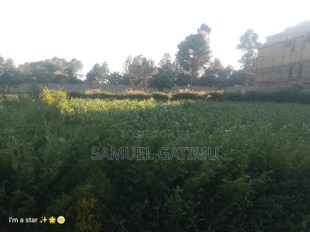 50/100 Kanunga Kiambu Gated - thumbnail 9