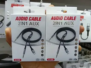 Usb Type C to Dual 3.5mm Male Aux Audio Cable 1.5m
