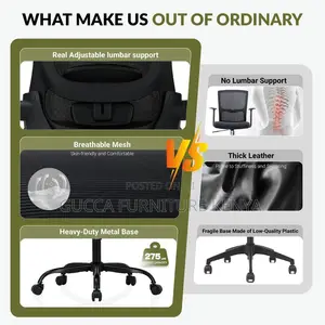 Executive Breathable Ergonomic Desk Chair