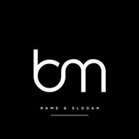 BM Ventures logo
