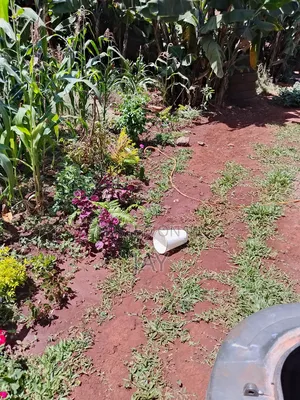 For Sale: Prime Mixed-use Residential Investment – Riruta Kawangware