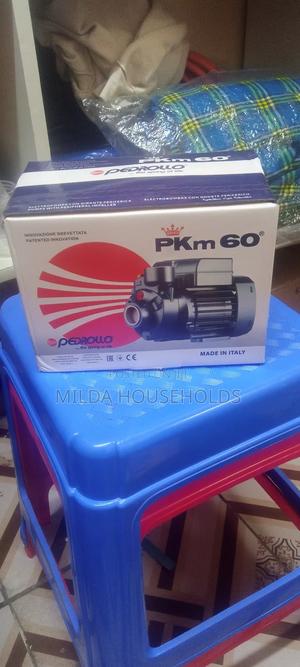 Pedrolo Water Pump - thumbnail 2