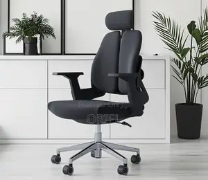 Office Chair : High Backrest Dual Orthopedic Office Seat