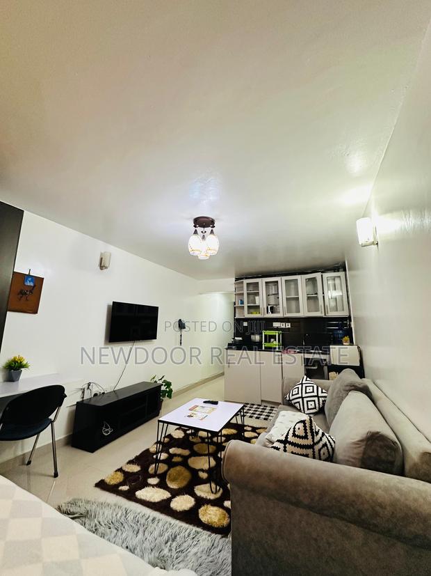 A Spacious Studio Airbnb in Ruaka - main view