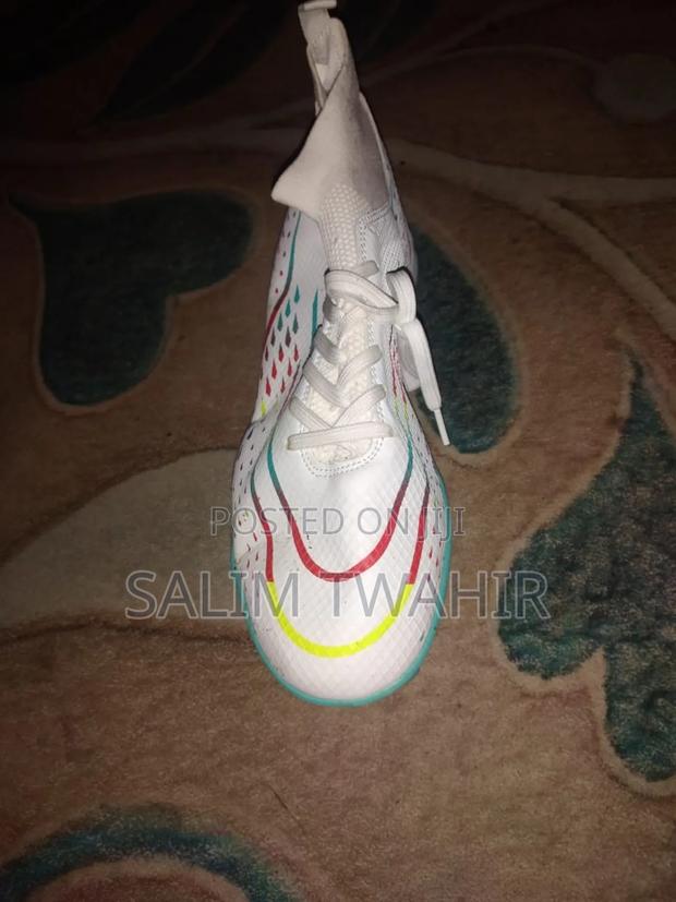 Whitesport Shoes