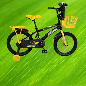 16-Inch Skyfly BMX Bicycle