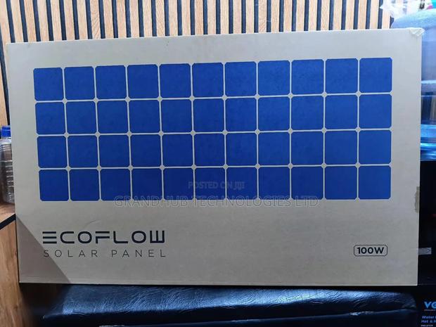 Ecoflow 100w Flexible Solar Panel