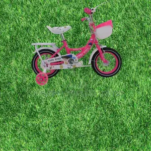 Size 12 Pink Lady Bird Kids Bicycle With Trainer Wheels