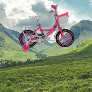 Lady Bird Kids Bike Size 12