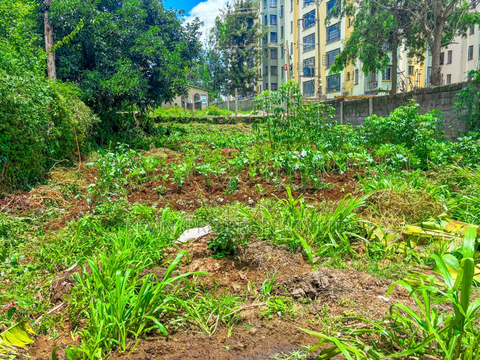 Prime Commercial Plot for Sale in Kabete
