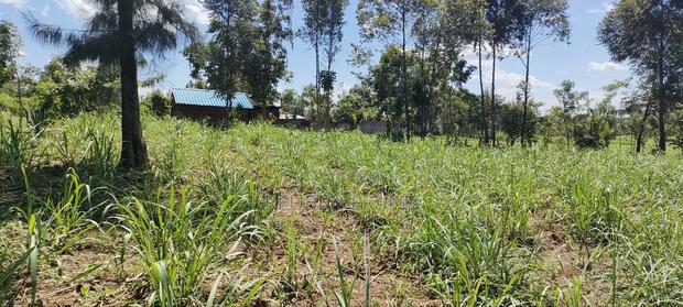 Plot and for Sale - thumbnail 3