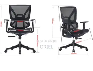 Modern Office Chair : Office Lumbar Support Swivel Mesh Chair